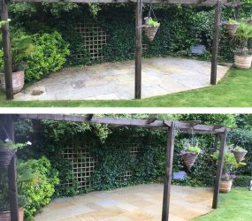 Softwashing Patio Cleaning Croydon Purley