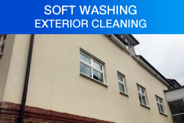 Softwashing Purley London