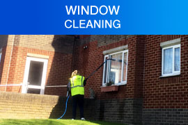 Window Cleaning Purley London